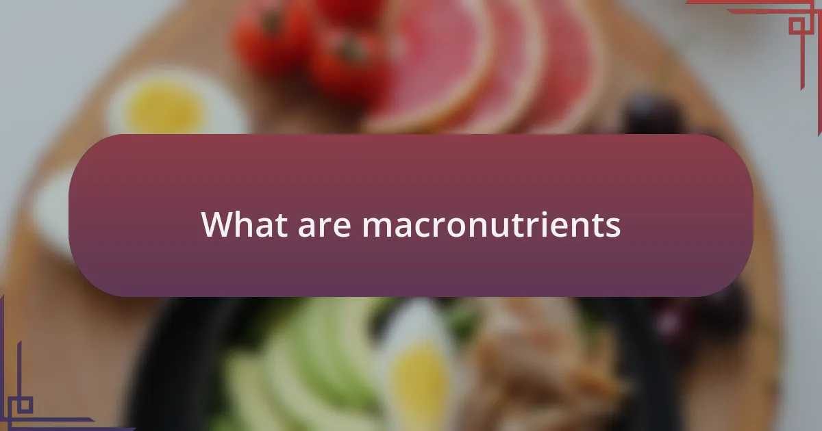 What are macronutrients
